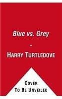 Cover of Blue vs. Grey