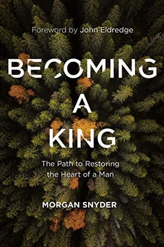 Cover of Becoming a King