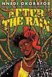 Cover of After the Rain