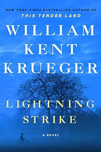 Cover of Lightning Strike