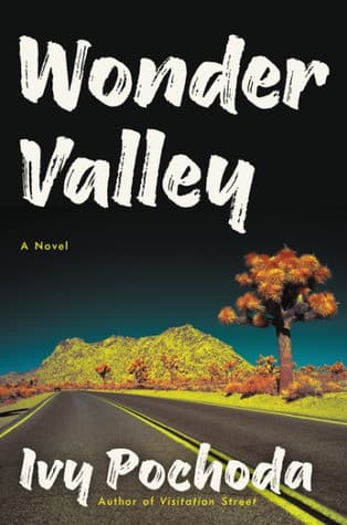 Cover of Wonder Valley