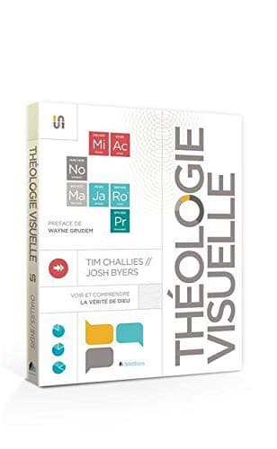 Cover of THÉOLOGIE VISUELLE. VOIR ET COMPRENDRE LA VÉRITÉ DE DIEU