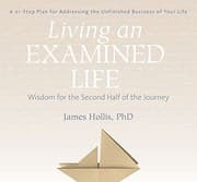 Cover of Living an Examined Life
