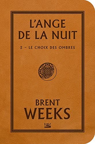 Cover of Stars : L'Ange de la Nuit, T2 : le Choix des Ombres