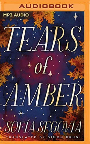 Cover of Tears of Amber