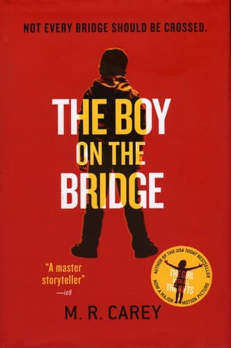 Cover of Boy on the Bridge