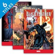 Cover of Black Panther Set 2