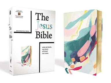 Cover of The Jesus Bible Artist Edition, NIV, Leathersoft, Multi-color/Teal, Comfort Print