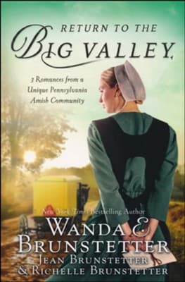 Cover of Return to the Big Valley