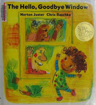 Cover of The Hello, Goodbye Window