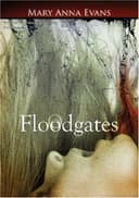 Cover of Floodgates