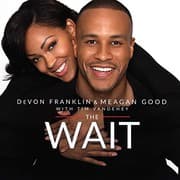 Cover of The Wait Lib/E