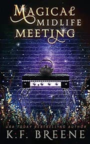 Cover of Magical Midlife Meeting