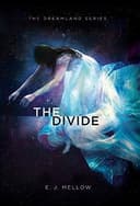 Cover of The Divide