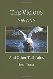 Cover of The Vicious Swans