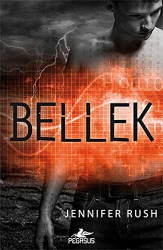 Cover of Bellek