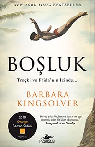 Cover of Bosluk