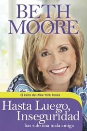 Cover of Hasta Luego, Inseguridad
