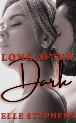 Cover of Long after Dark