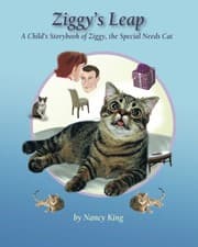 Cover of Ziggy's Leap