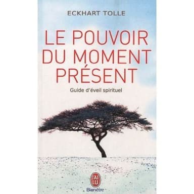 Cover of Le pouvoir du moment present