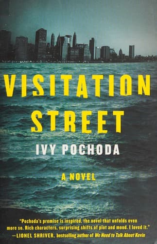 Cover of Visitation Street