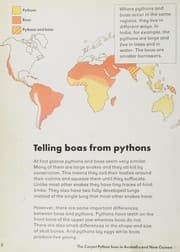 Cover of Pythons and boas