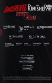 Cover of Daredevil/Punisher