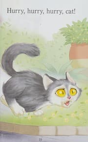 Cover of Too many cats