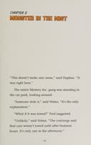 Cover of Mystery of the mist monster