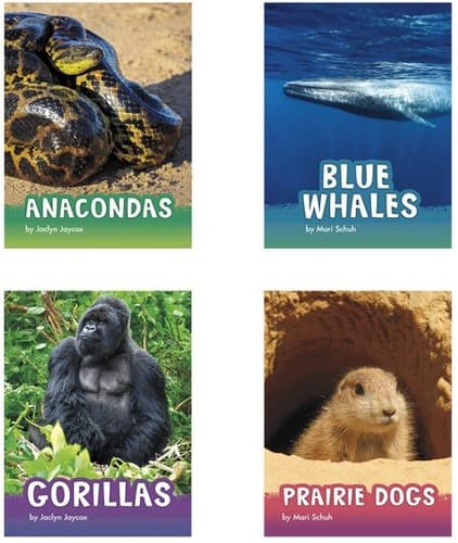 Cover of Animals