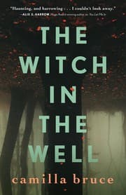 Cover of Witch in the Well