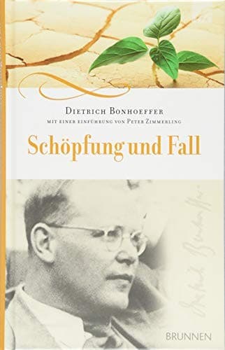 Cover of Schöpfung und Fall