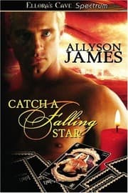 Cover of Catch a Falling Star