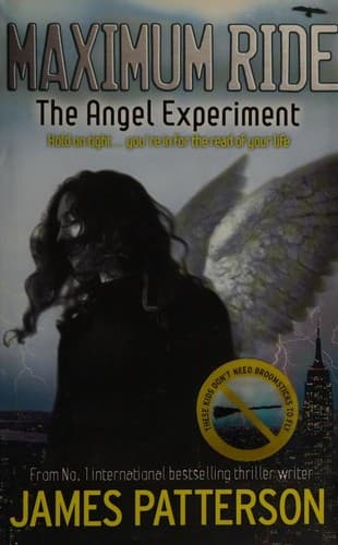 Cover of The Angel Experiment