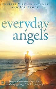 Cover of Everyday Angels
