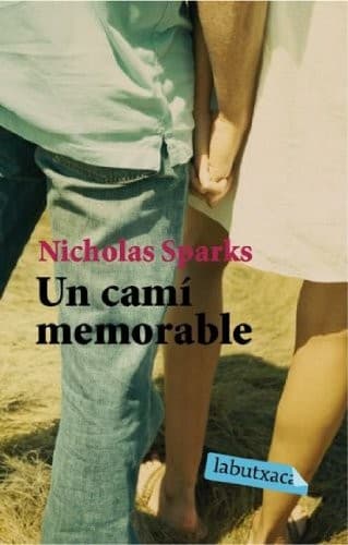 Cover of Un camí memorable
