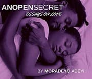 Cover of Anopensecret