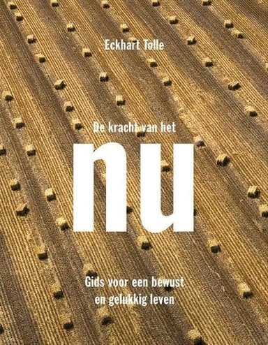 Cover of De kracht van het nu