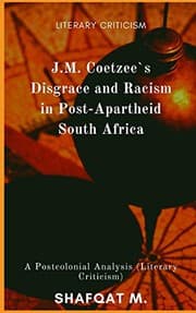 Cover of J. M. Coetzee`s Disgrace and Racism in Post-Apartheid South Africa