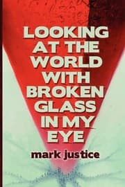 Cover of Looking at the World with Broken Glass in My Eye