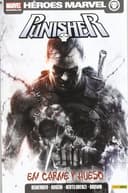 Cover of Punisher 05