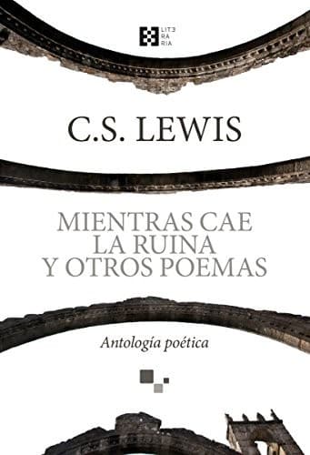 Cover of Mientras Cae la Ruina y Otros Poemas
