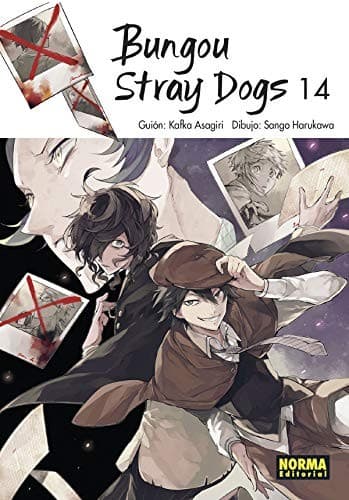 Cover of Bungou Stray Dogs 14