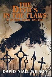 Cover of Devil's in the Flaws & Other Dark Truths