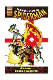 Cover of Spiderman 11. Marvel Team-Up