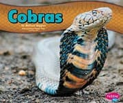 Cover of Cobras