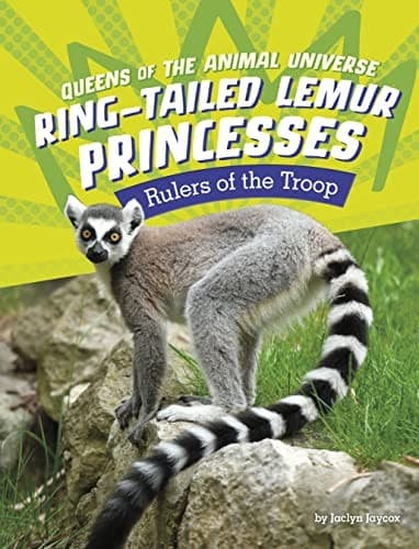 Cover of Ring-Tailed Lemur Princesses