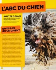 Cover of National Geographic Kids