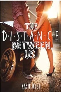 Cover of The Distance Between Us
